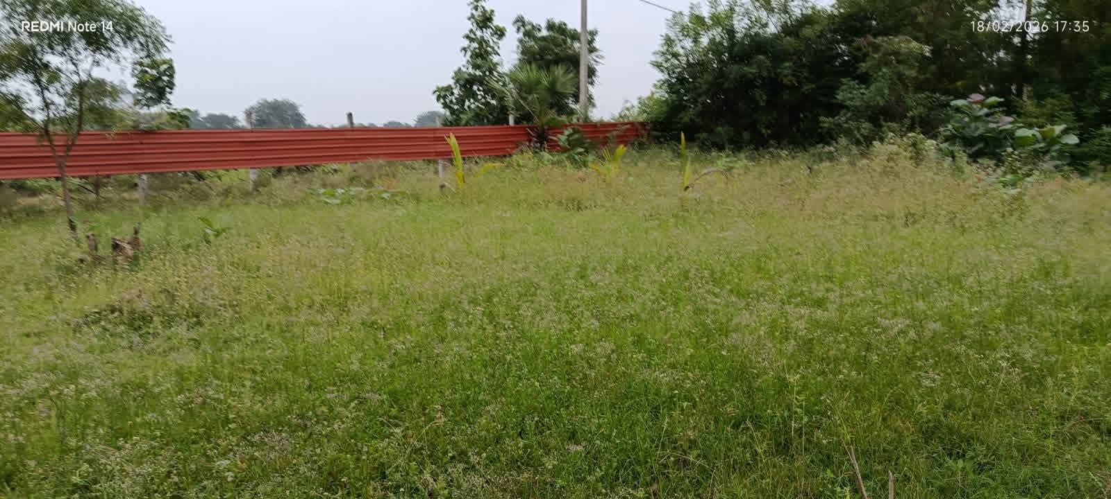 Investment Land